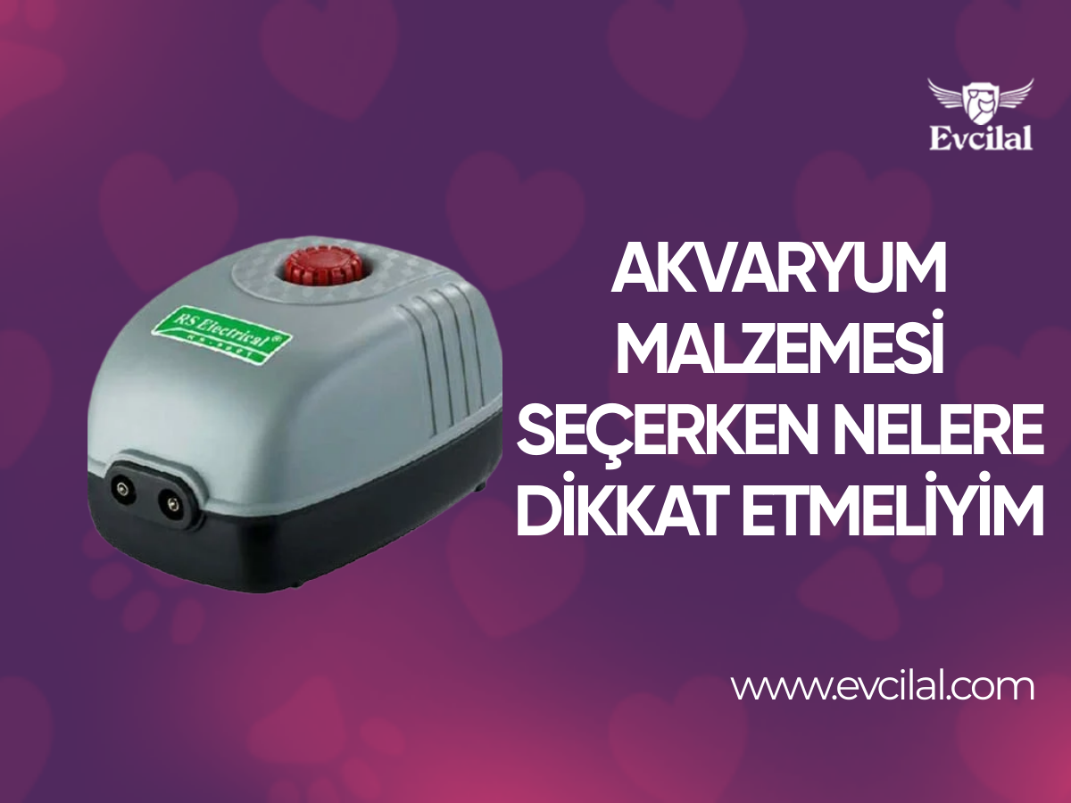 Akvaryum Malzemesi Seçerken Nelere Dikkat Etmeliyim