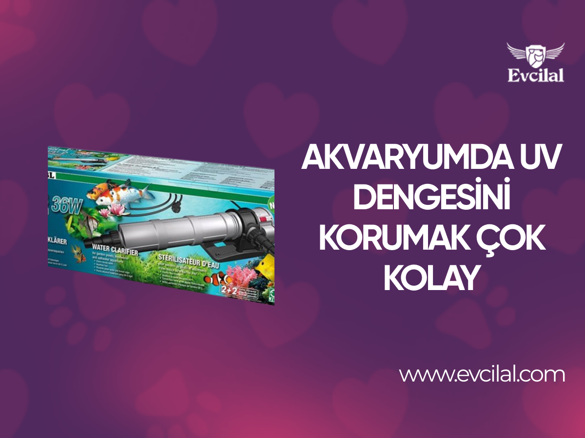 Akvaryumunuzdaki UV Dengesini Korumak Artık Çok Kolay!