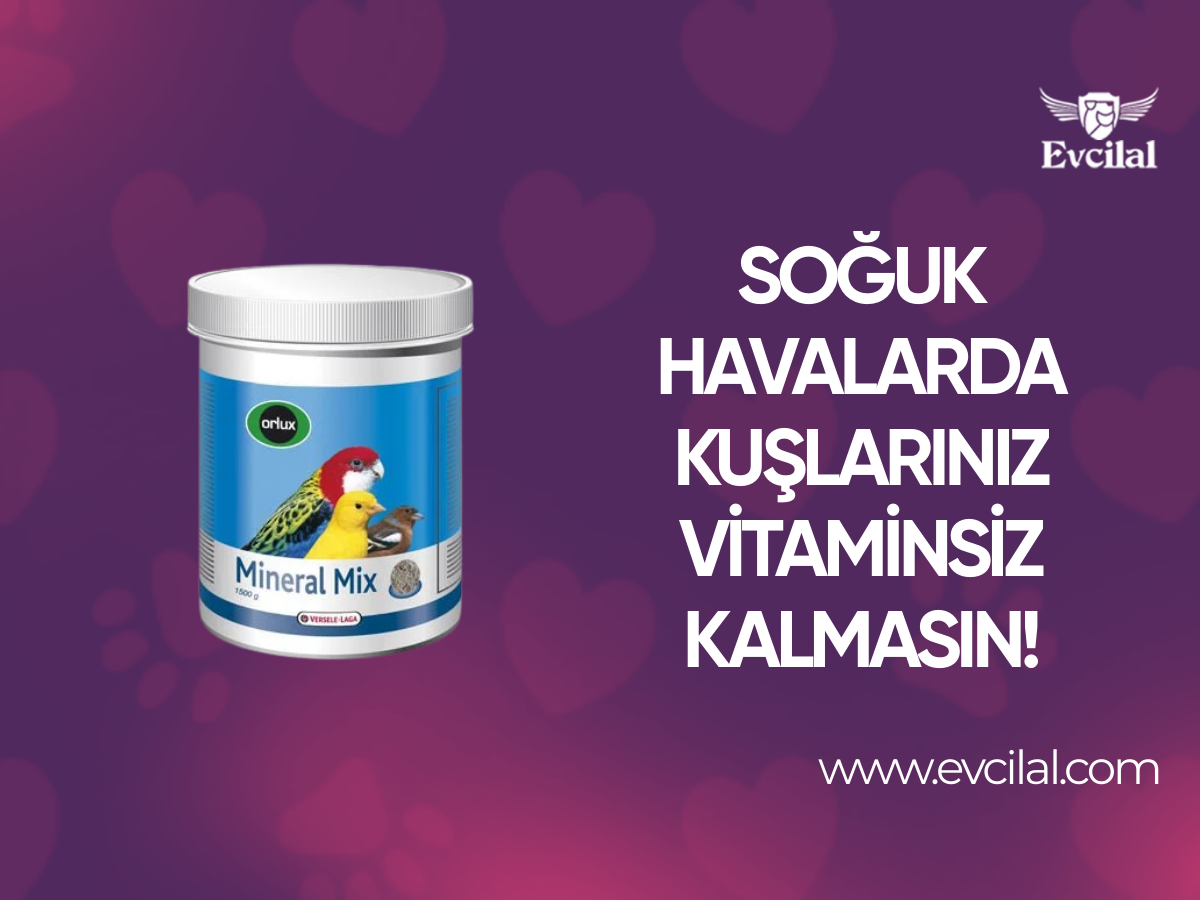 Soğuk Havalarda Kuşlarınız Vitaminsiz Kalmasın!