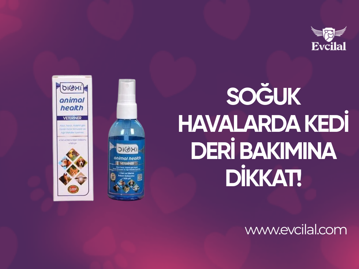 Kuş Kondisyon Yemi Nasıl Verilmeli?