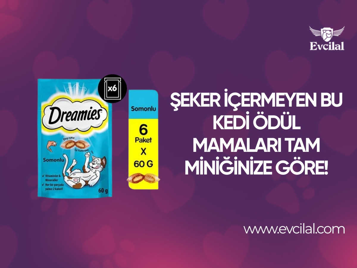 Şeker İçermeyen Bu Kedi Ödül Mamaları Tam Miniğinize Göre!