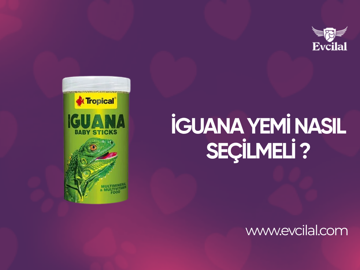 Bağışıklık Ve Optimal Kondisyon İçin C Vitamini Katkılı Gine Pig Yemi