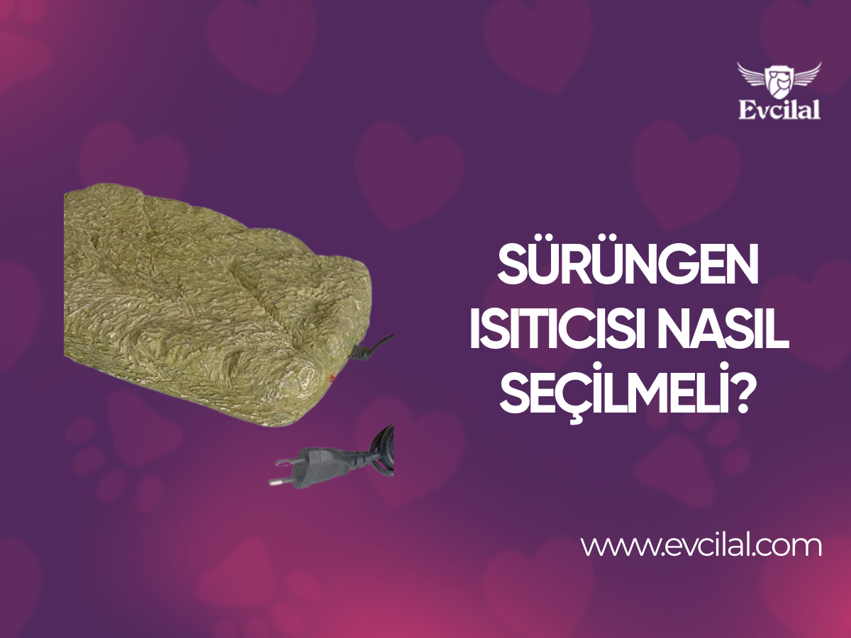 Sürüngen Isıtıcısı Nasıl Seçilmeli?