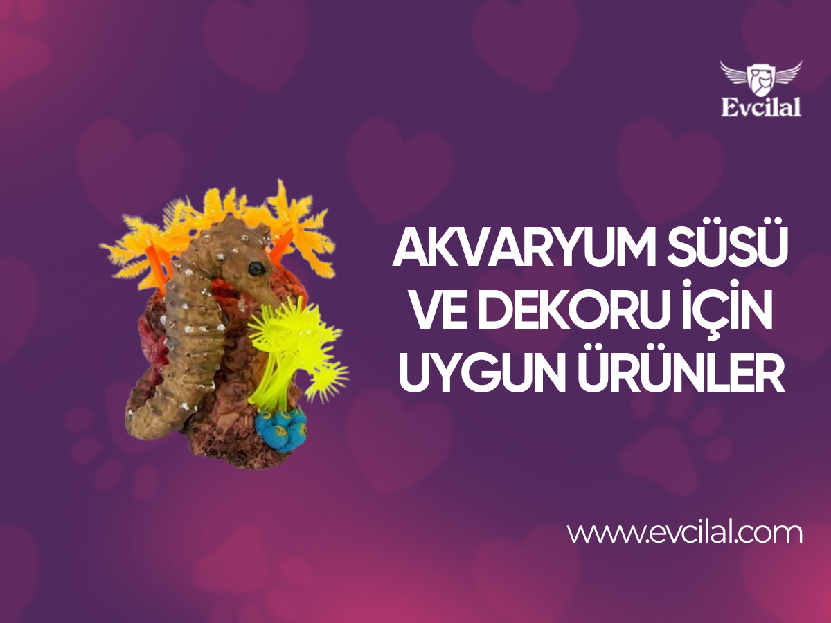 Akvaryum Süsü veya Dekoru Olarak Kullanabileceğiniz Ürünler