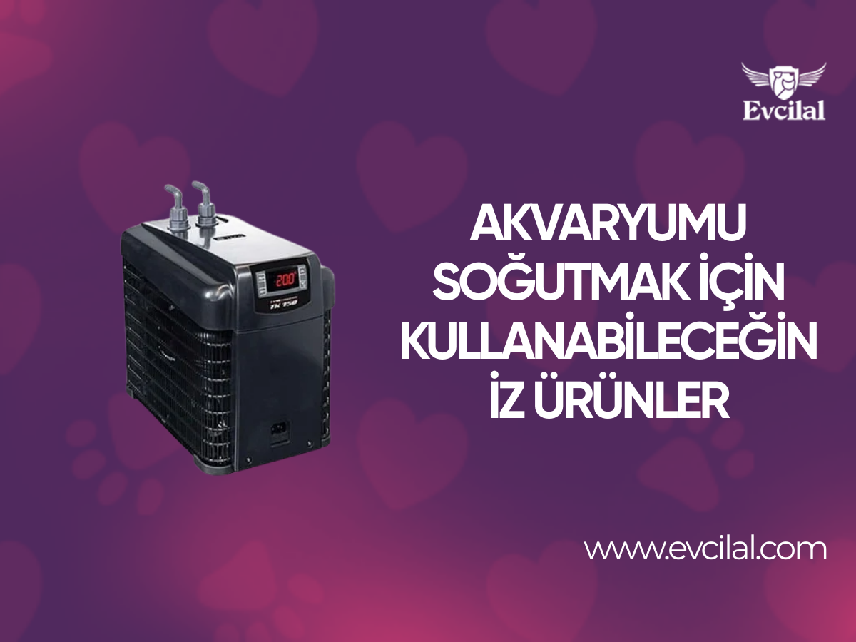 Akvaryumu Soğutmak için Kullanabileceğiniz Ürünler