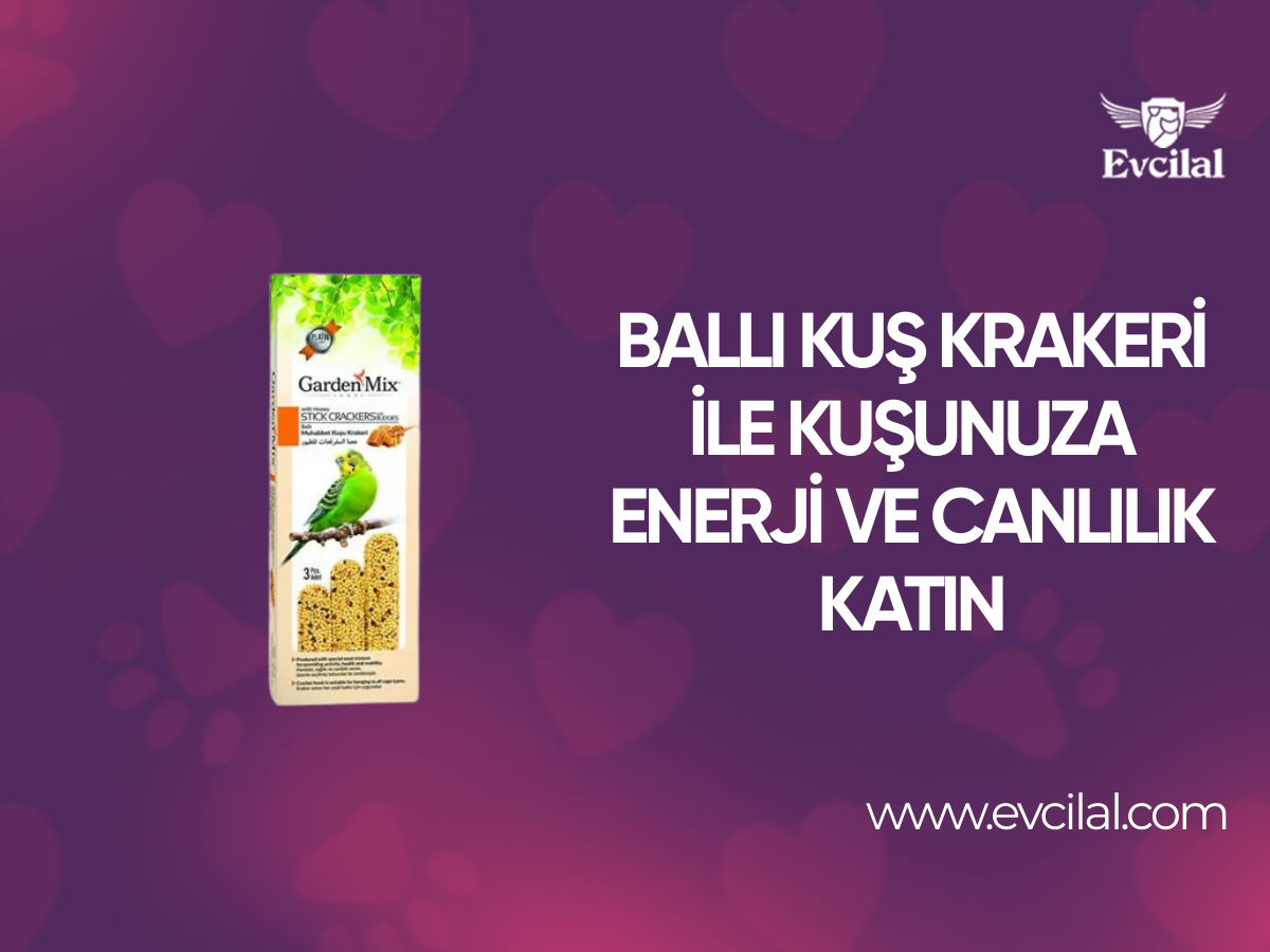 Ballı Kuş Krakeri ile Kuşunuza Hareket, Sağlık ve Canlılık Katabilirsiniz