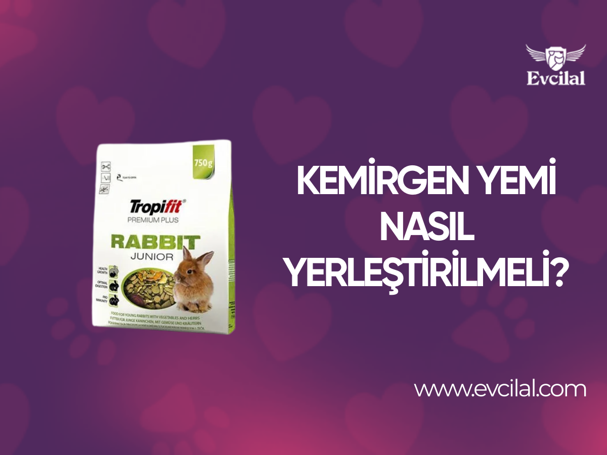 Kemirgen Yemi Nasıl Yerleştirilmeli?