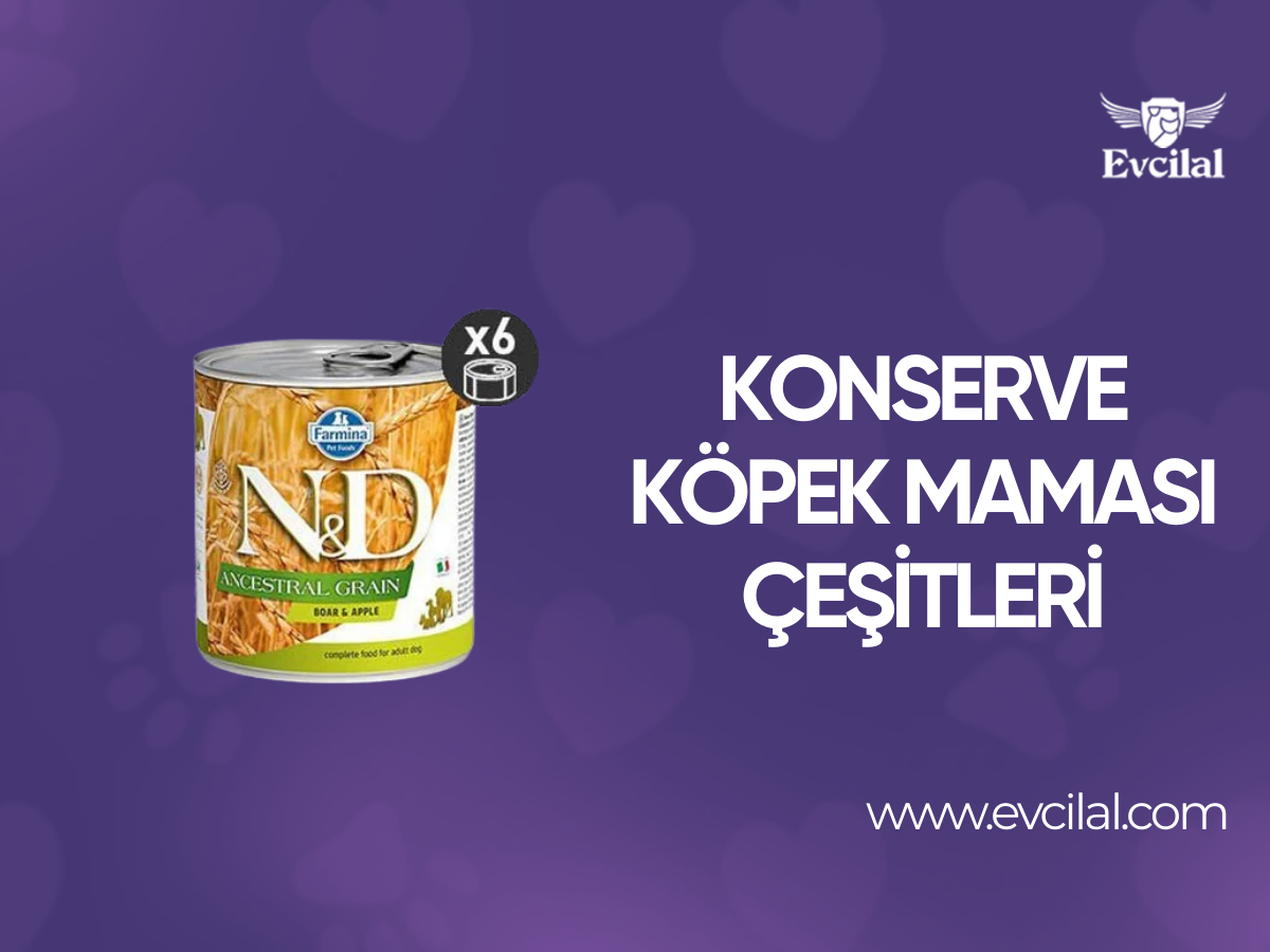 Yaş Mama Olarak Bilinen Konserve Köpek Maması Çeşitleri