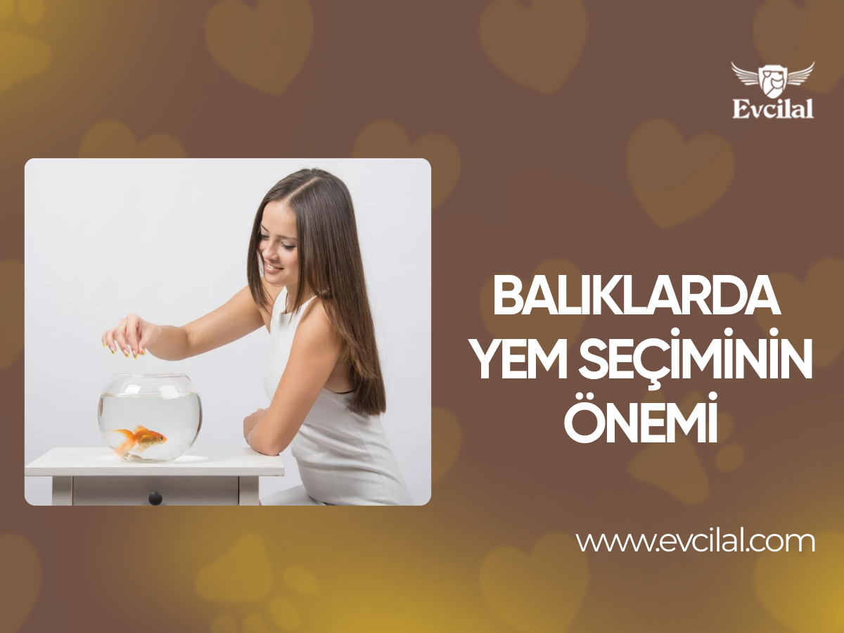  Balıklarda Yem Seçiminin Önemi