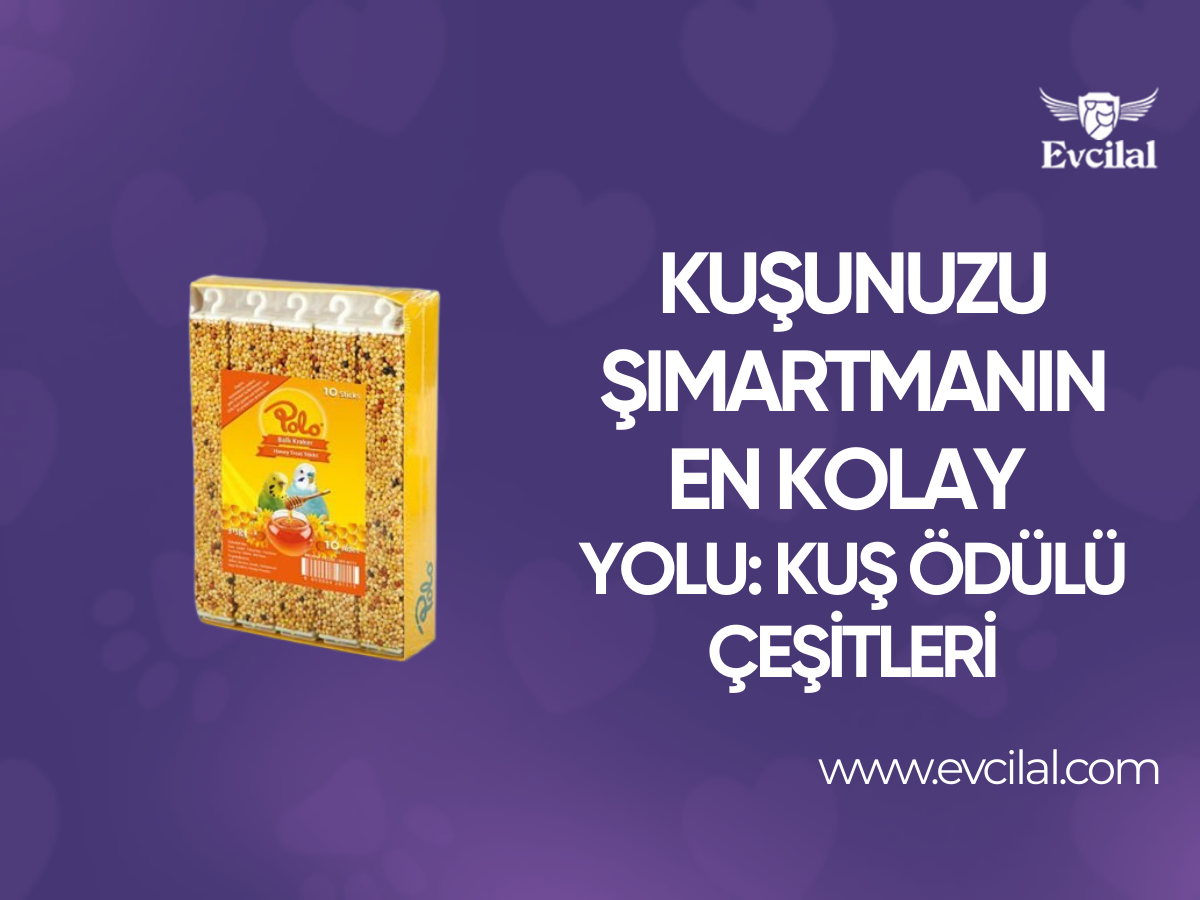 Kuşunuzu Şımartmanın En Kolay Yolu Olan Kuş Ödülü Çeşitleri