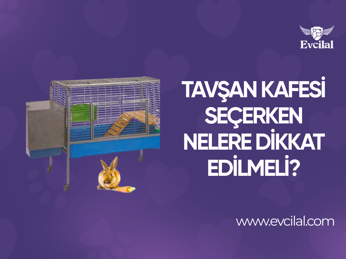Tavşan Kafesi Seçerken Nelere Dikkat Edilmeli?