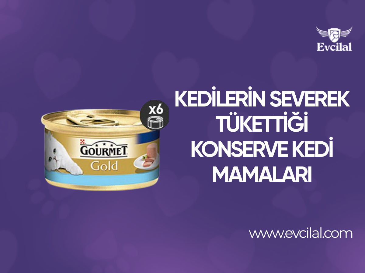 Kedilerin Severek Tükettiği Konserve Kedi Mamaları