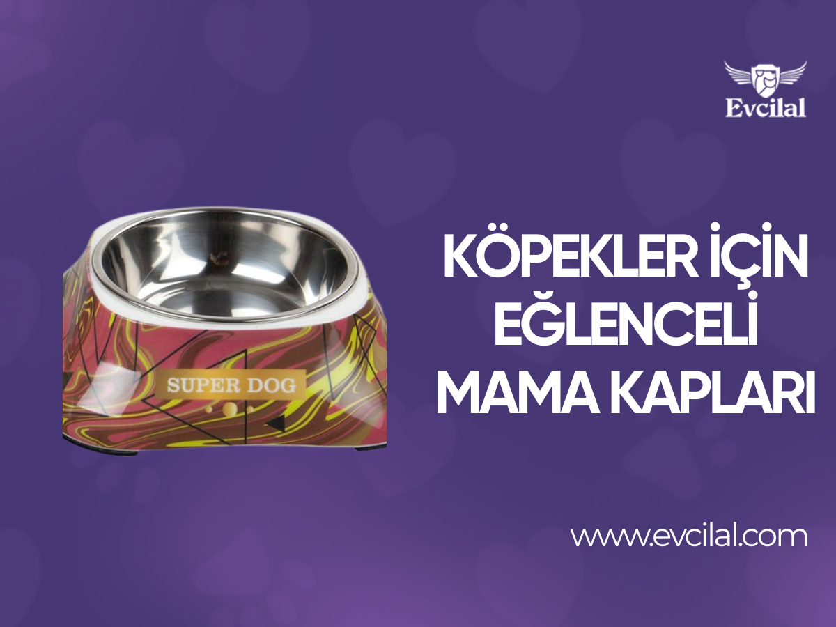 Yemek Saatlerini Eğlenceli Hale Getirecek Olan Köpek Mama Kapları
