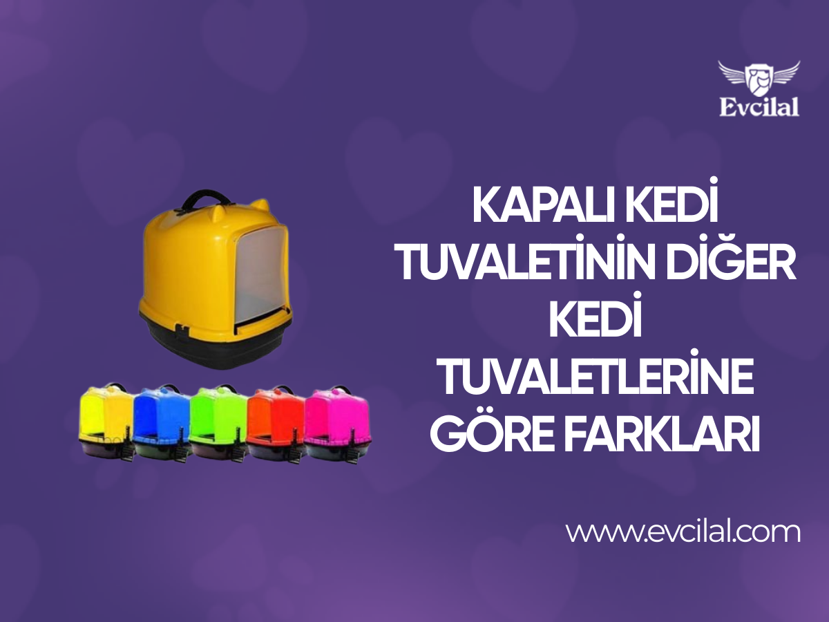 Kapalı Kedi Tuvaletinin Diğer Kedi Tuvaletlerine Göre Farkları