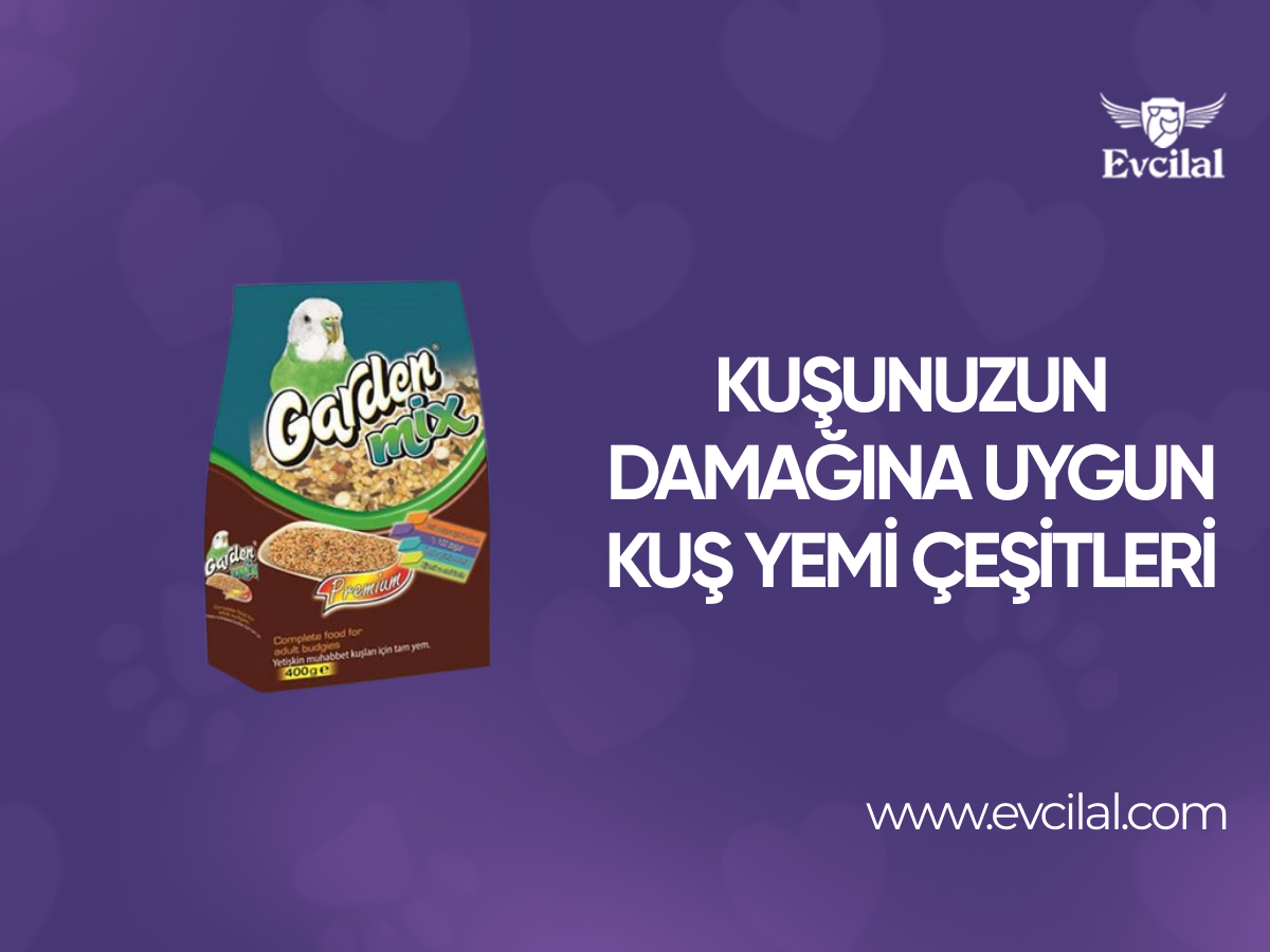 Kuşunuzun Damağına Uygun Kuş Yemi Çeşitleri