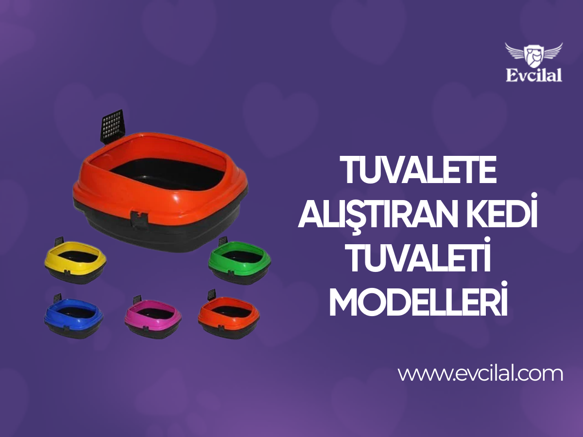 Kedilerin Tuvalete Alışmasını Kolaylaştıracak Kedi Tuvaleti Çeşitleri