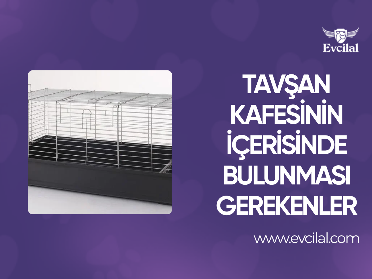 Tavşan Kafesinin İçerisinde Bulunması Gerekenler