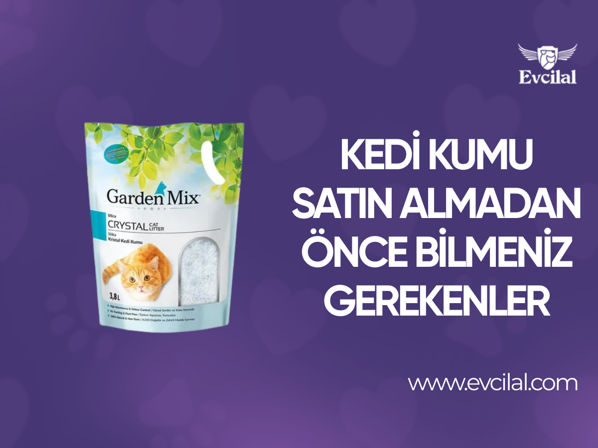 Kedi Kumu Satın Almadan Önce Bilmeniz Gerekenler