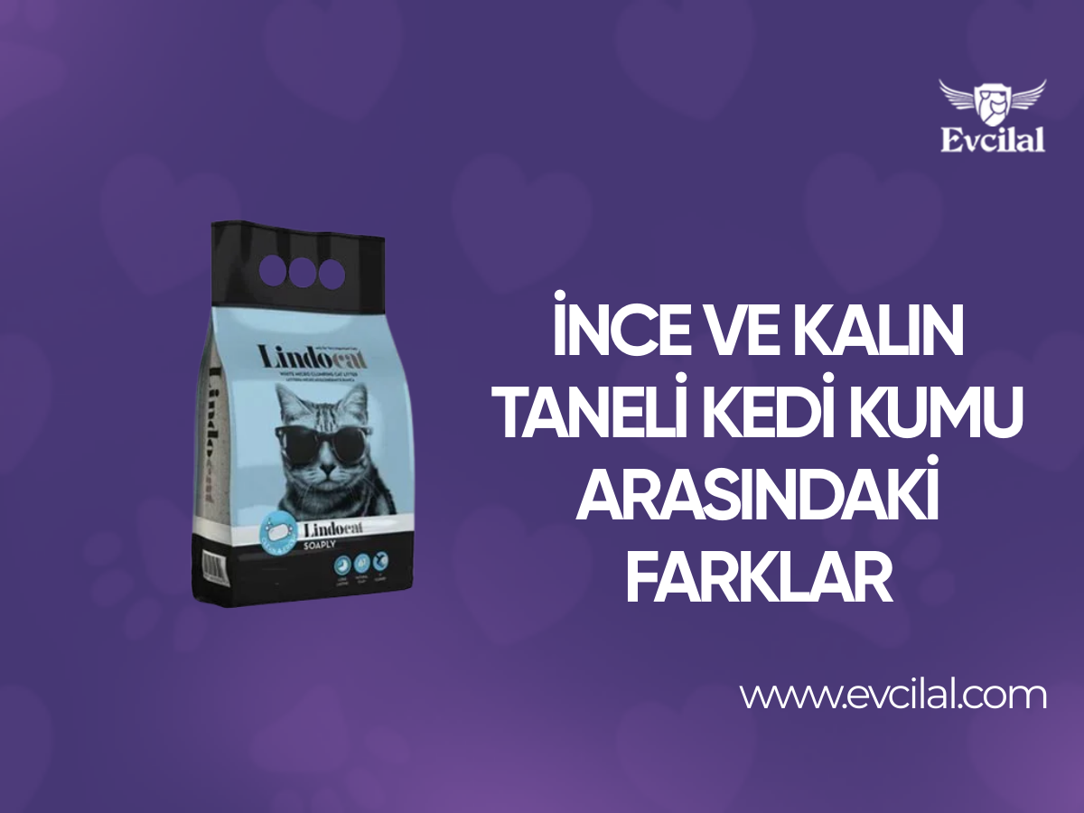 İnce ve Kalın Taneli Kedi Kumu Arasındaki Farklar