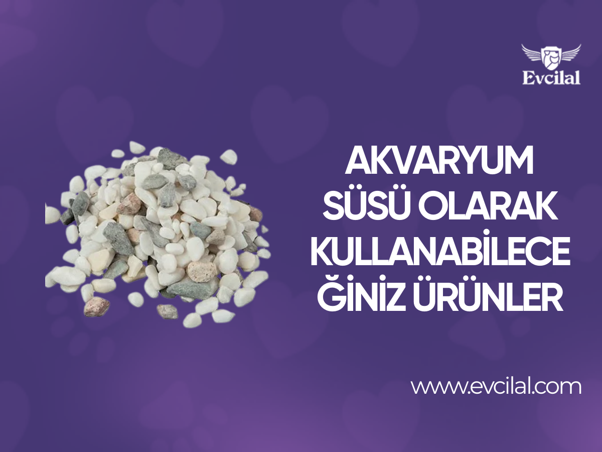 Akvaryum Süsü Olarak Kullanabileceğiniz Ürünler