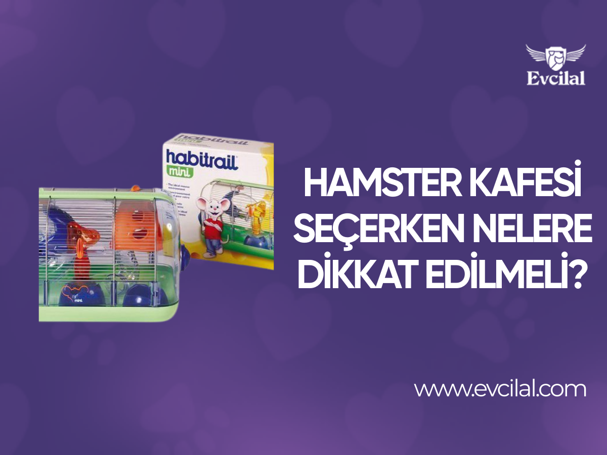 Hamster Kafesi Seçerken Nelere Dikkat Edilmeli?