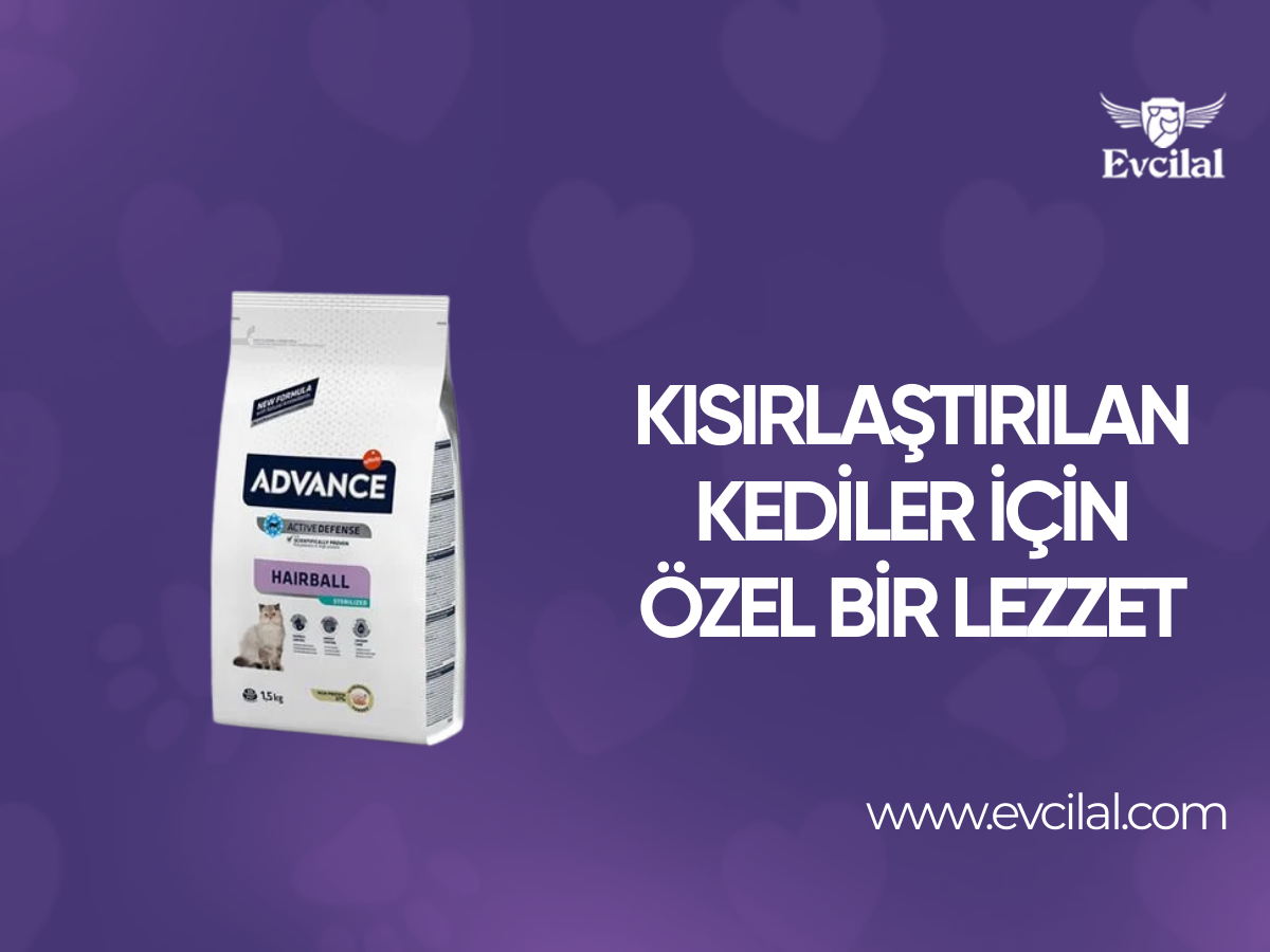 Kısırlaştırılan Kediler için Özel Bir Lezzet