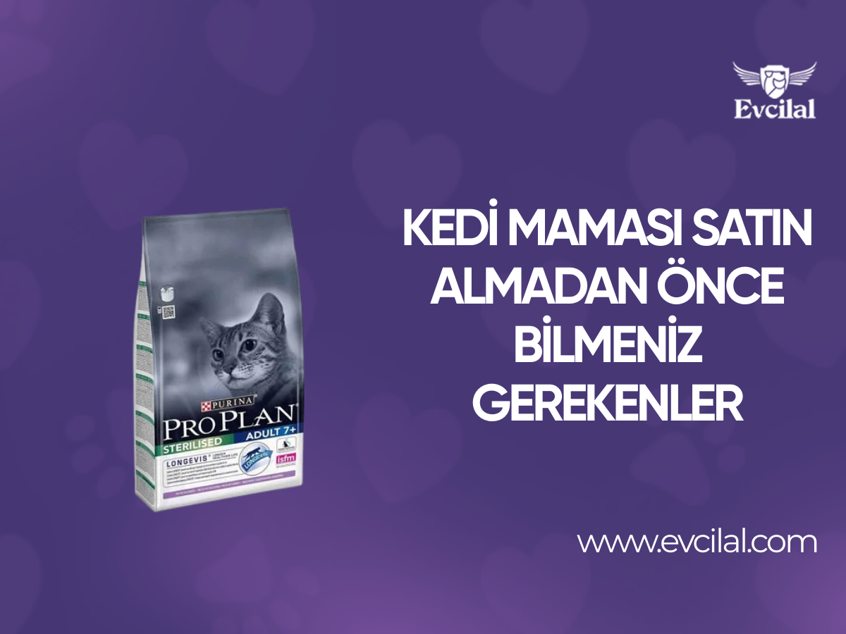 Kedi Maması Satın Almadan Önce Bilmeniz Gerekenler