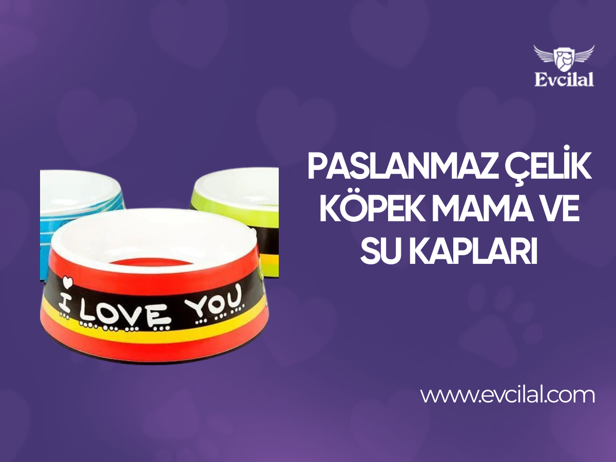 Paslanmaz Çelik Malzemeden Üretilmiş Köpek Mama ve Su Kapları