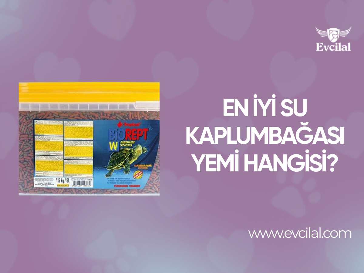 En İyi Su Kaplumbağası Yemi Hangisi?