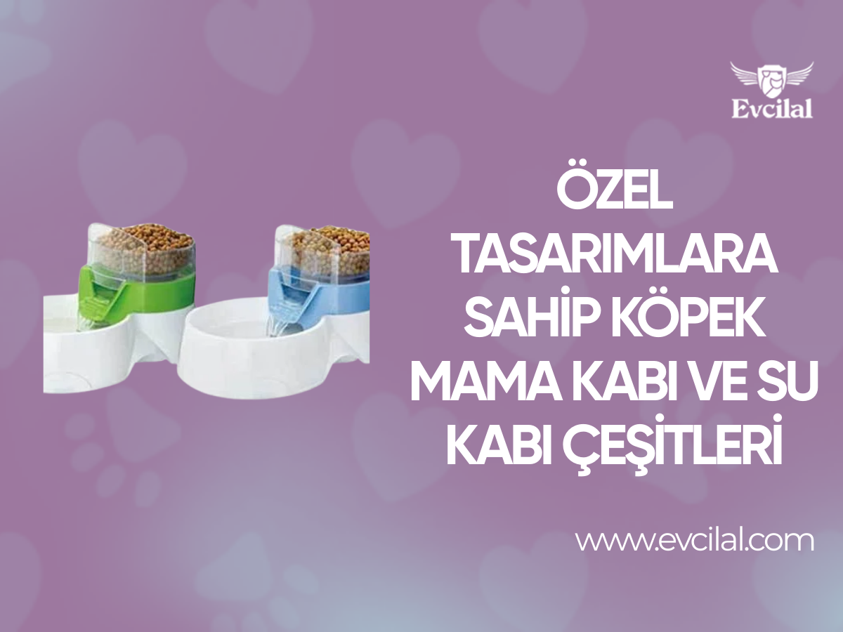 Özel Tasarımlara Sahip Köpek Mama Kabı ve Su Kabı Çeşitleri