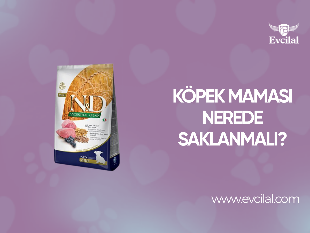 Köpek Maması Nerede Saklanmalı?