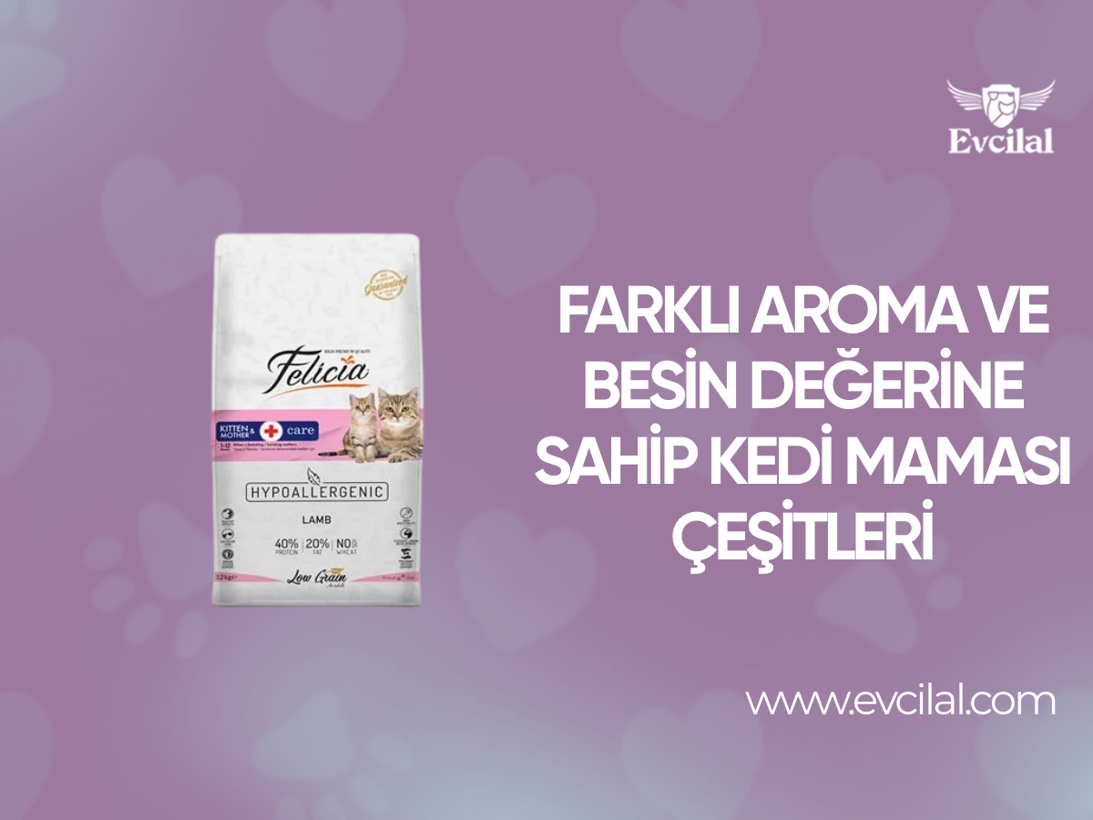 Farklı Aroma ve Besin Değerine Sahip Kedi Maması Çeşitleri