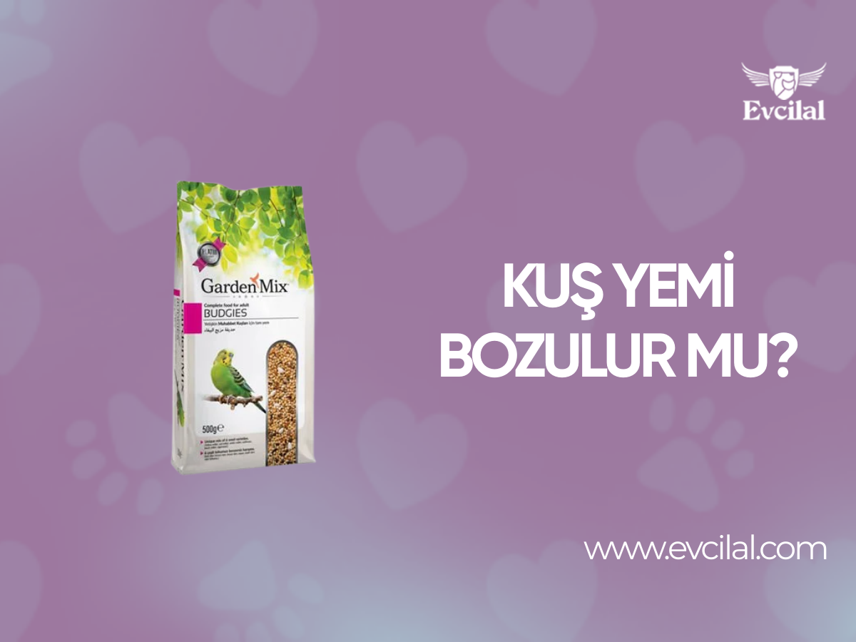 Kuş Yemi Bozulur mu?