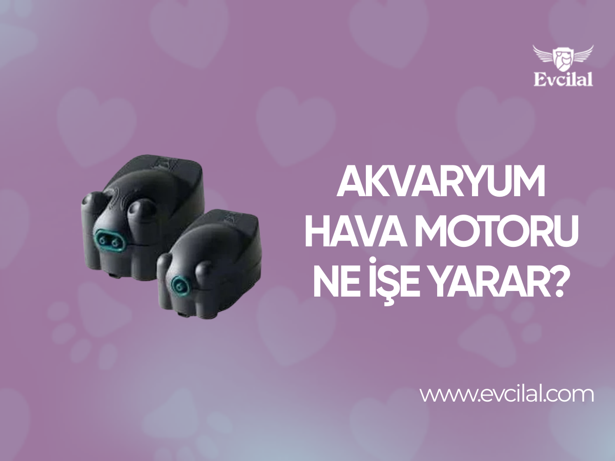Akvaryum Hava Motoru Ne İşe Yarar?