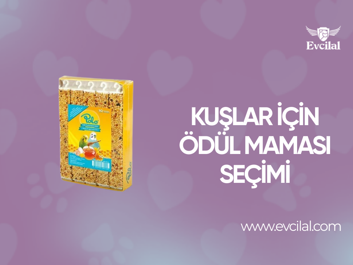 Kuşlar için Ödül Maması Seçimi