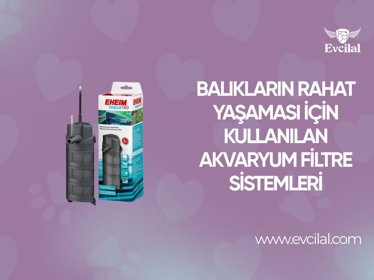 Balıkların Rahat Yaşaması için Kullanılan Akvaryum Filtre Sistemleri