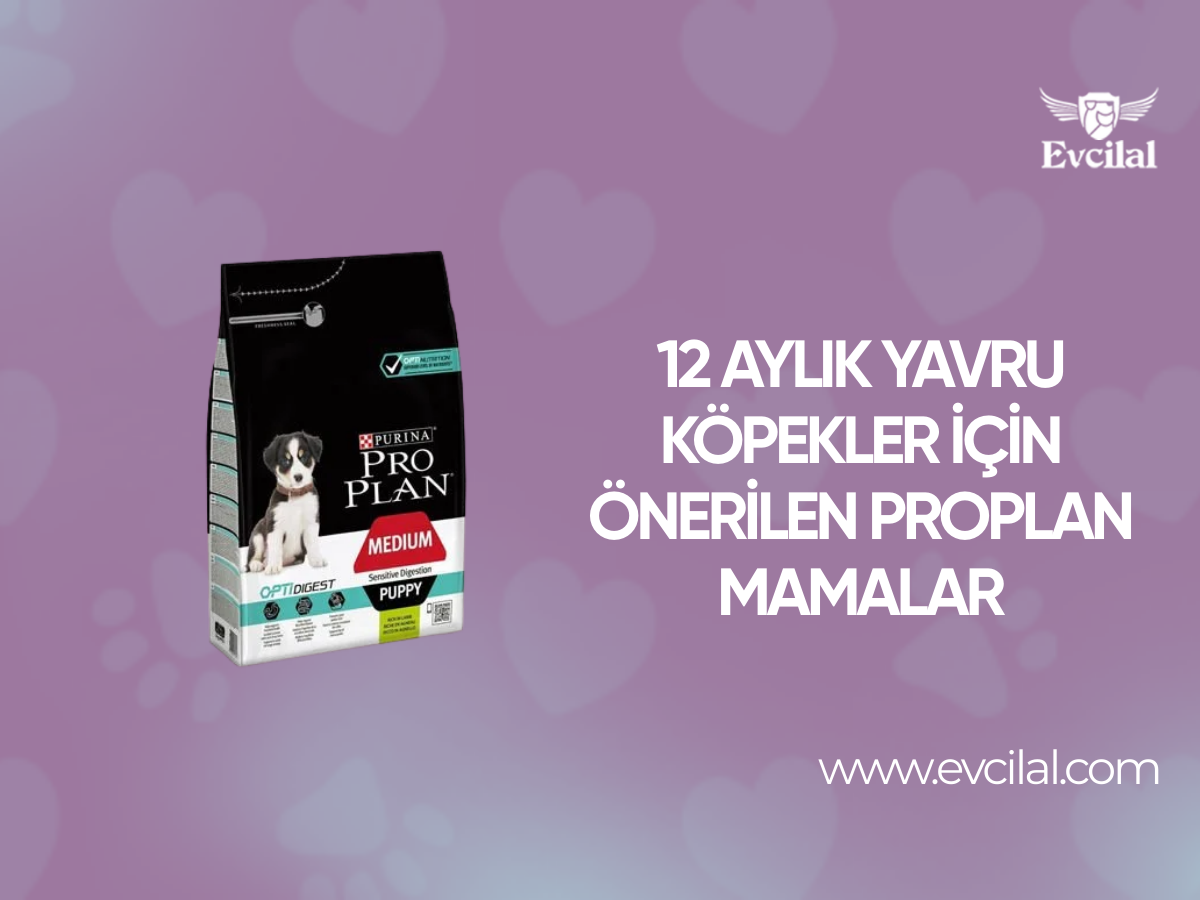 12 Aylık Yavru Köpekler İçin Önerilen Proplan Mamalar