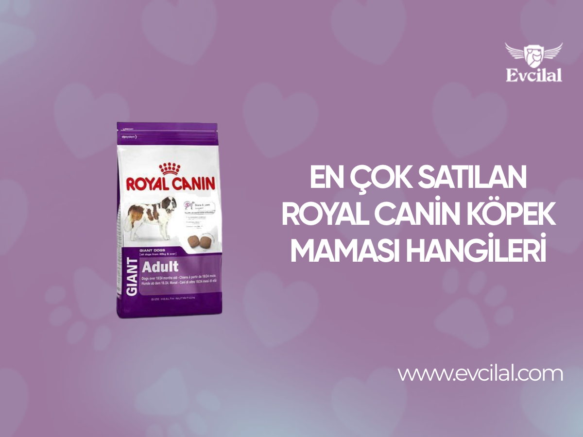 En Çok Satılan Royal Canin Köpek Maması Hangileri