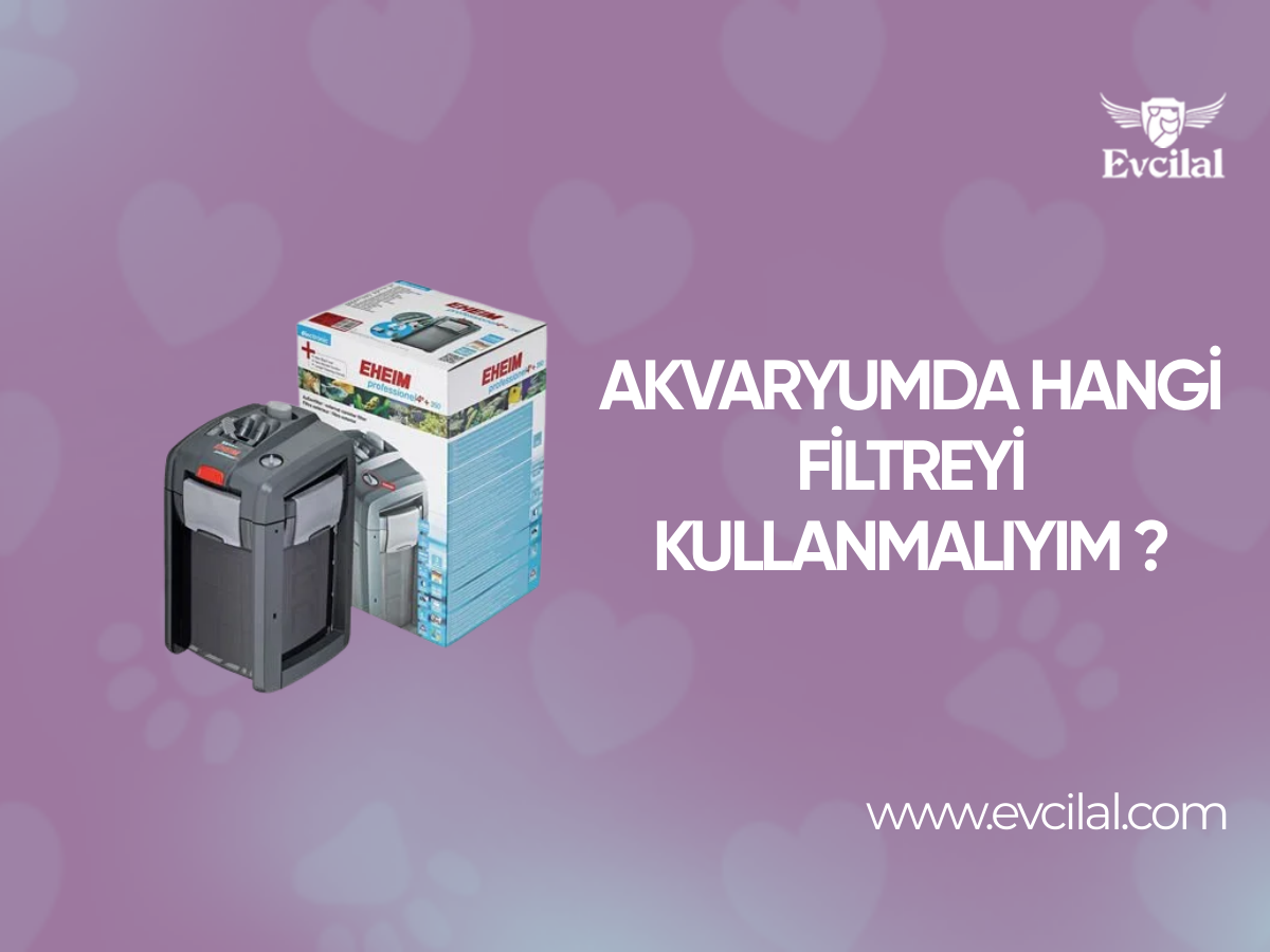 Akvaryumda Hangi Filtreyi Kullanmalıyım ? 