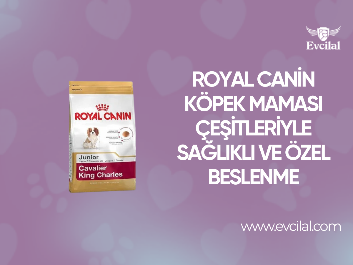 Royal Canin Köpek Maması Çeşitleriyle Köpeğinizi Özel ve En Sağlıklı Şekilde Besleyebilirsiniz