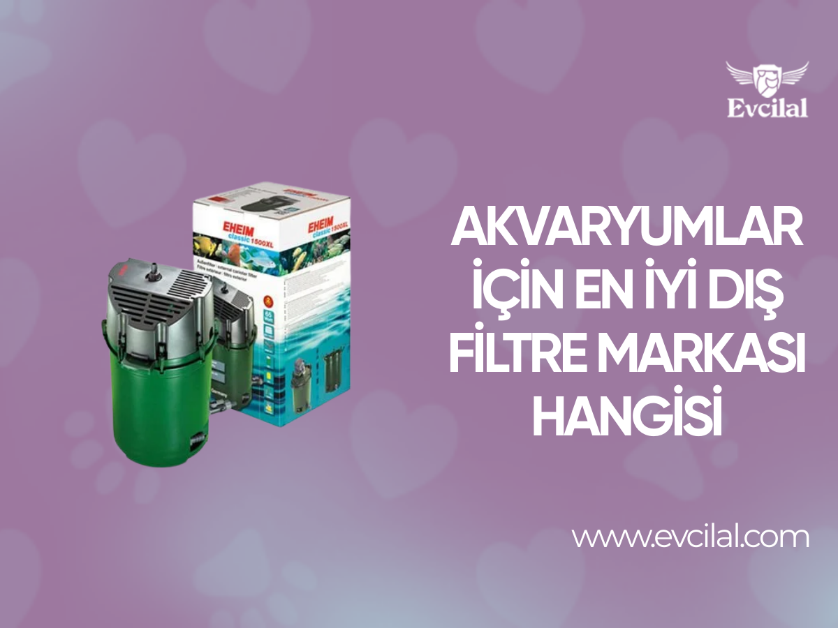 Akvaryumlar İçin En İyi Dış Filtre Markası Hangisi
