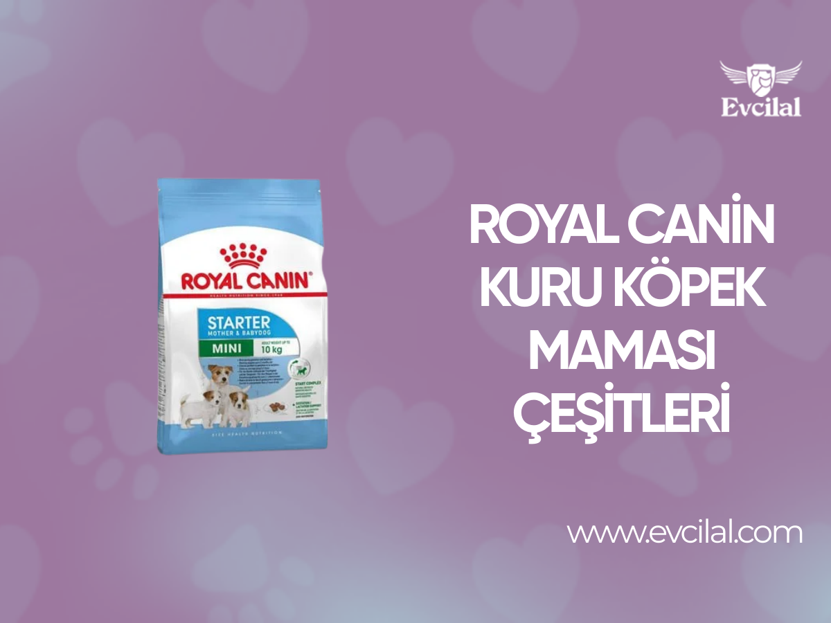 Royal Canin Kuru Köpek Maması Çeşitleri
