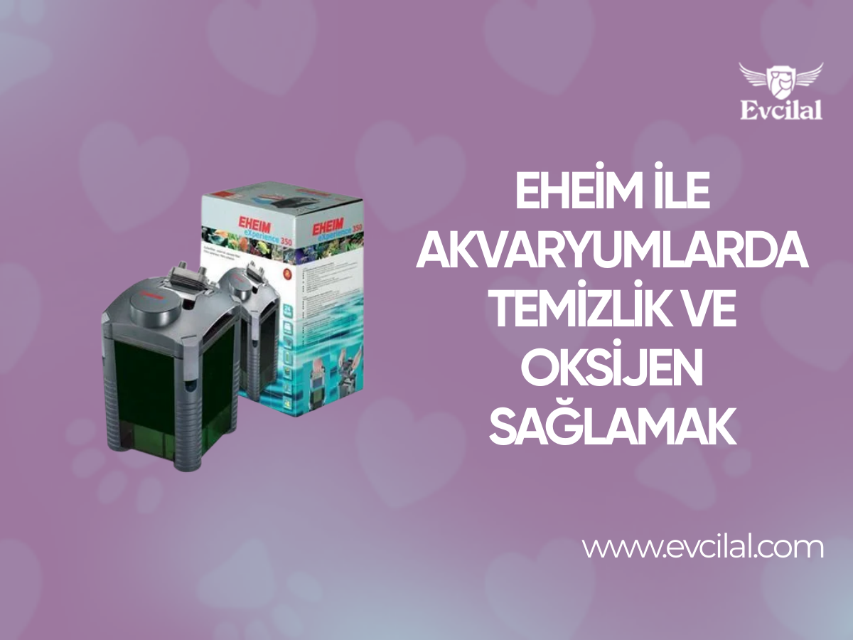 Eheim İle Akvaryumlarda Temizlik ve Oksijen Sağlamak