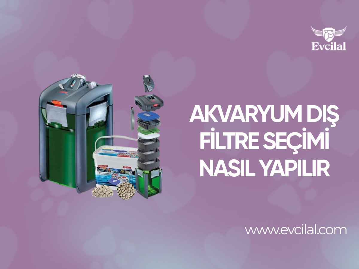 Akvaryum Dış Filtre Seçimi Nasıl Yapılır
