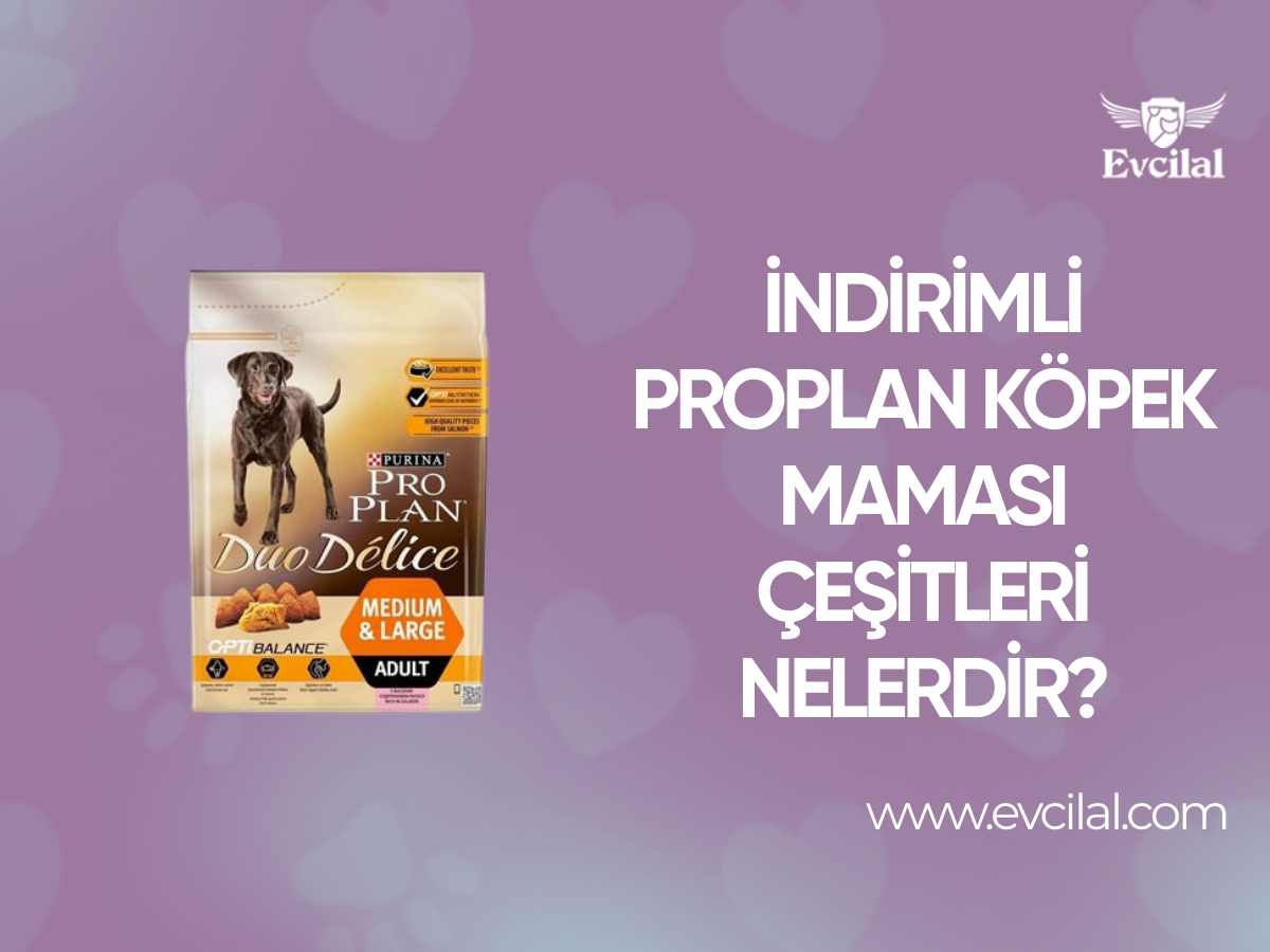 İndirimli ProPlan Köpek Maması Çeşitleri Nelerdir?