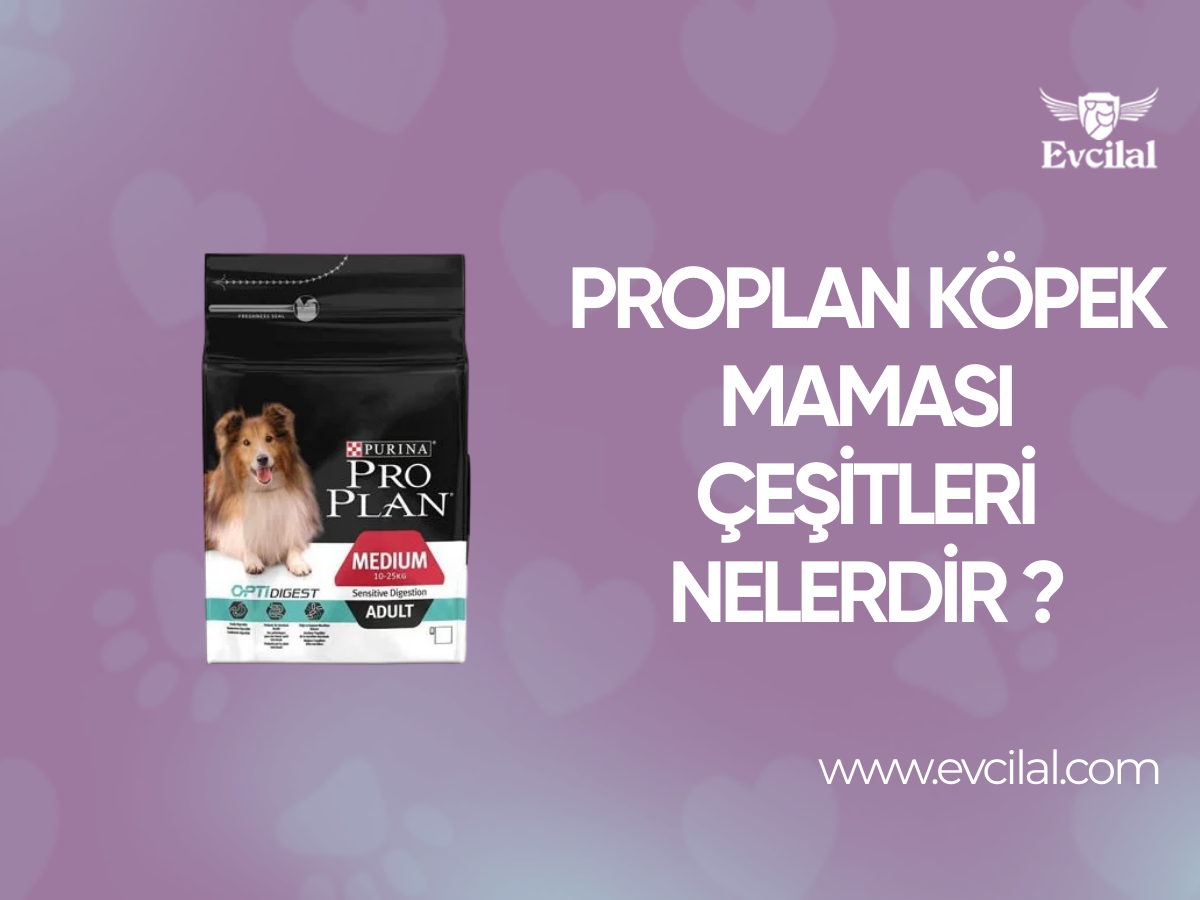 Proplan Köpek Maması Çeşitleri Nelerdir?