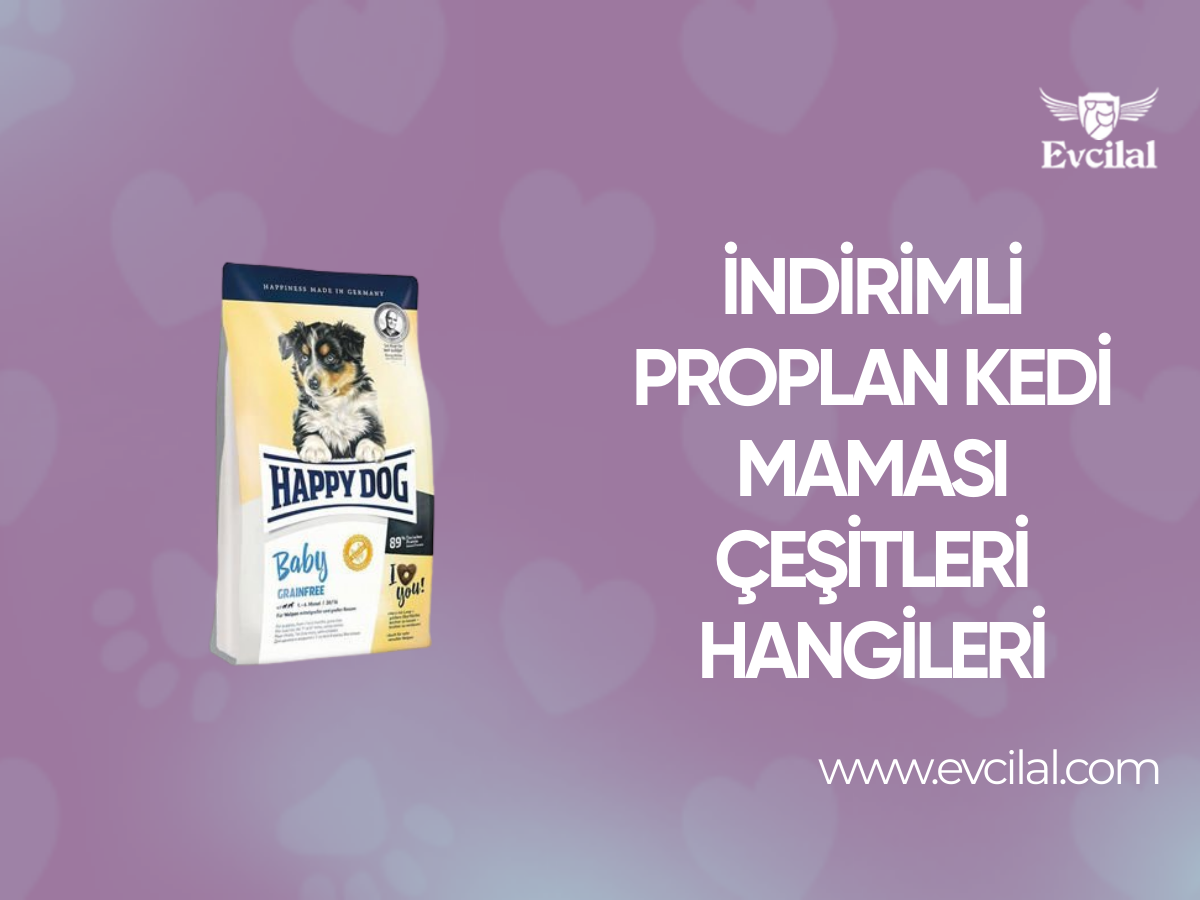 Happy Dog yavru köpek maması çeşitleri ile sağlıklı ve güçlü gelişim