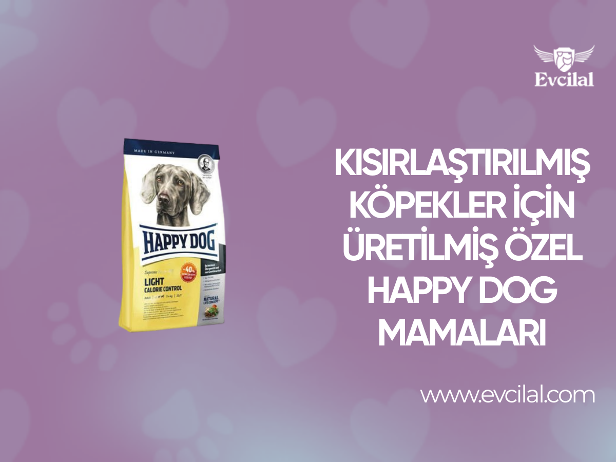 Kısırlaştırılmış Köpekler İçin Üretilmiş Özel Happy Dog Mamaları