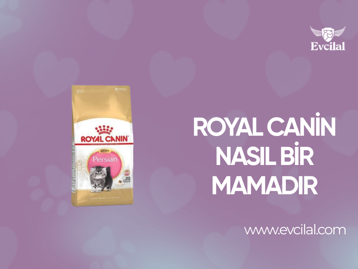 Royal Canin Nasıl Bir Mamadır?