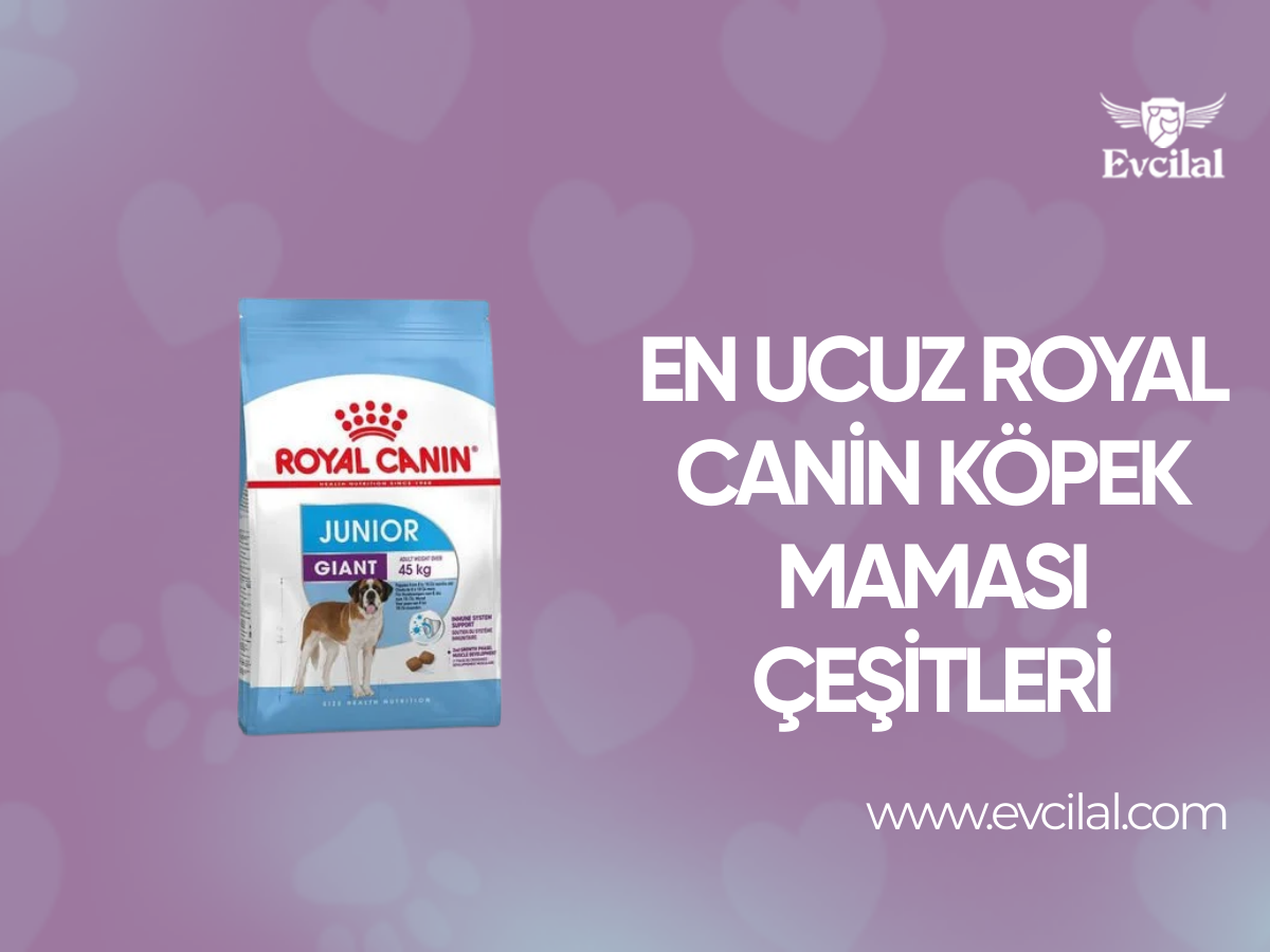 En Ucuz Royal Canin Köpek Maması Çeşitleri